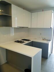 The Riverine By The Park (D12), Apartment #609173521
